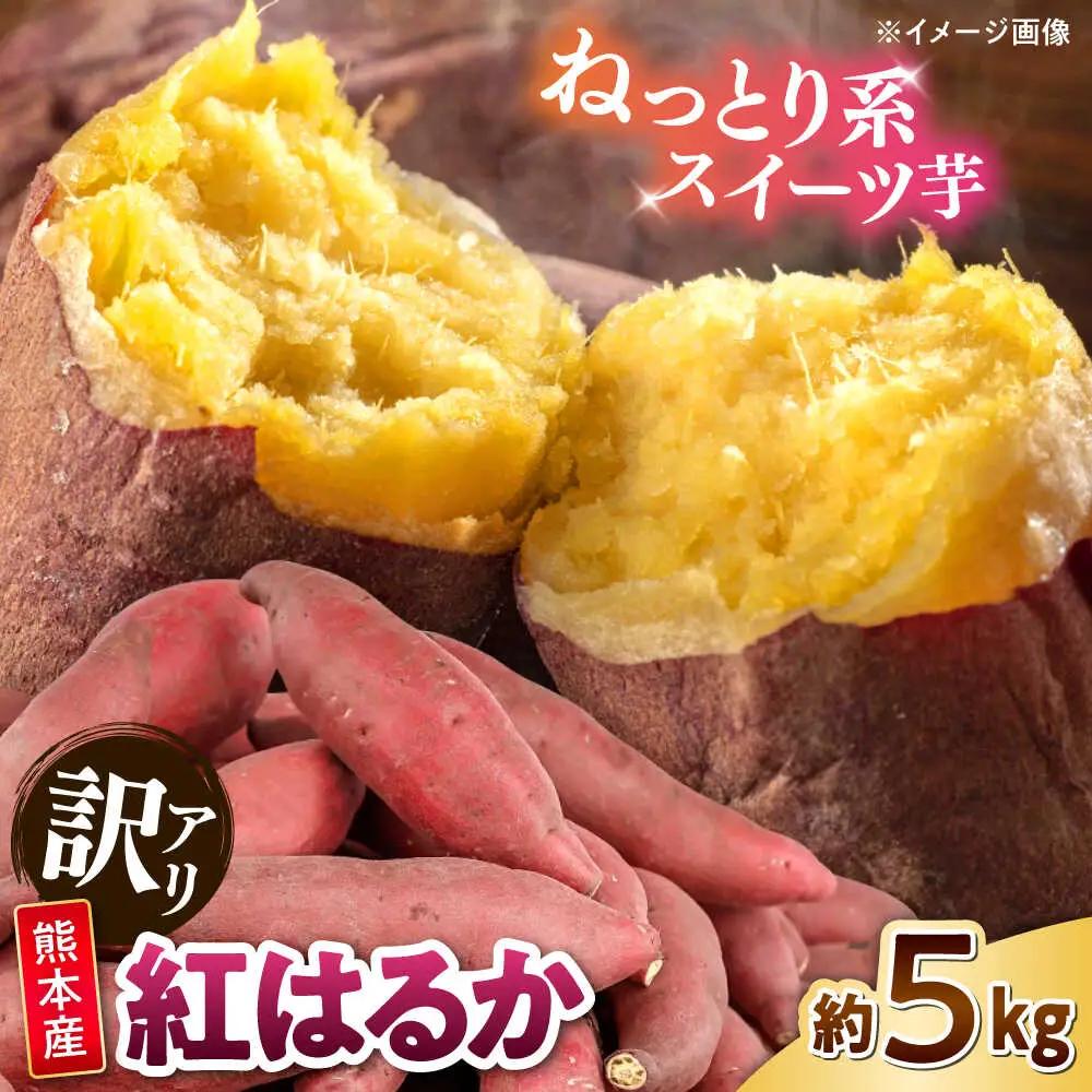 【訳あり】紅はるか さつまいも 約5kg 2S?3Lサイズ混合 さつまいも[AYAT010]
