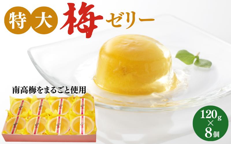 
                  特大梅ゼリー 120g×8個  / 田辺市 紀州南高梅 南高梅 梅干し 梅干 梅 うめ ゼリー  特大 スイーツ おやつ ひんやり 【kbe045-1】
                