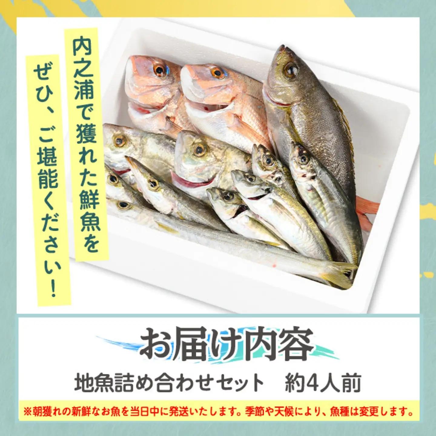 鮮魚ボックス 鮮魚BOX 地魚 詰め合わせ 約4人分 産地直送【マルケイ水産】A09002