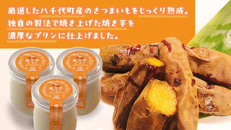 【お中元熨斗付き】焼き芋プリン さつまいも 焼き芋 サツマイモ プリン