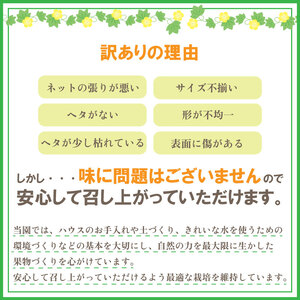 訳あり 貴味 レッド 約6kg 以上 ( 2L ~ 6L ) ( 約 3玉 ~ 6玉 ) メロン メロン メロン メロン メロン メロン メロン メロン 