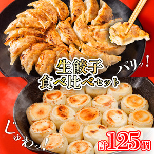 えひめの美味しい厳選餃子 あさの生餃子 もち〇生餃子 セット【5パック 計125個】セット 詰め合わせ 餃子のたれ 国産 ぎょうざ 餃子 餃子 餃子 餃子 餃子 餃子 餃子 餃子 餃子 【ASN0031】