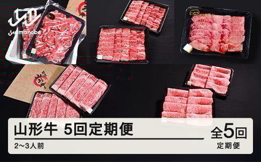 山形牛 5回 定期便 2~3人前   すき焼き  焼肉  肩ロース バラ切り落とし  カルビ モモ  tf-tkygx1560