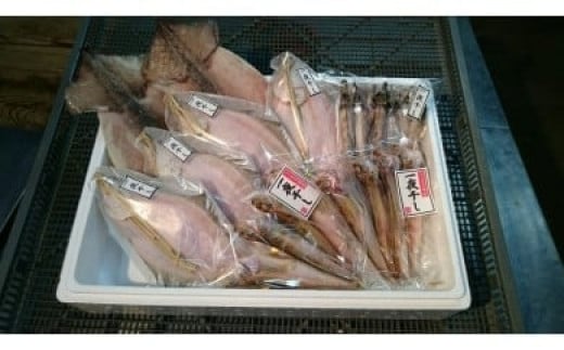 【香住干物４種セット】 干しハタハタ 干しカレイ 干しニギス 干しするめいか 塩加減抜群 兵庫県 香美町 香住 丁寧に加工 干物 04-05
