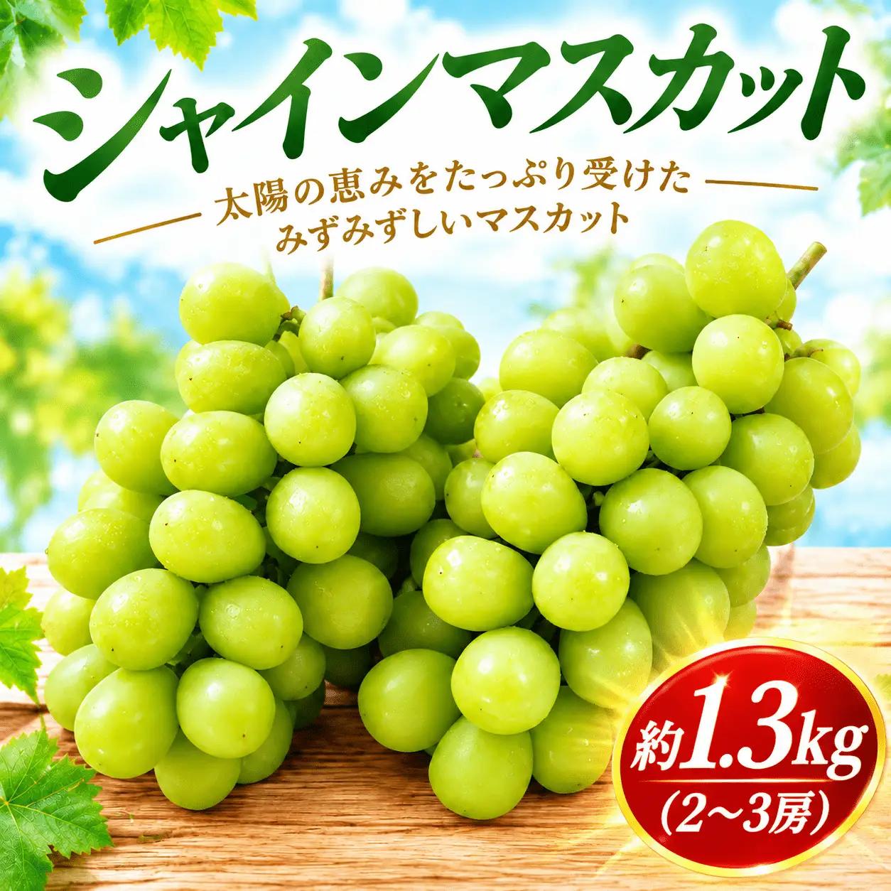 香取市産 訳あり シャインマスカット約1.5kg（2～3房）【現在発送中】｜ ぶどう シャインマスカット