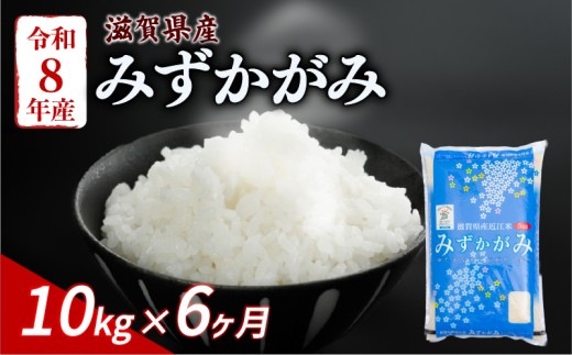 【令和8年産】 新米 みずかがみ 10kg (5kg×2) 6ヶ月定期便 令和8年産 米 白米 近江米 こめ ご飯 米 定期便 6回定期便 6か月定期便 6回 6か月 10キロ 令和8年 滋賀 彦根