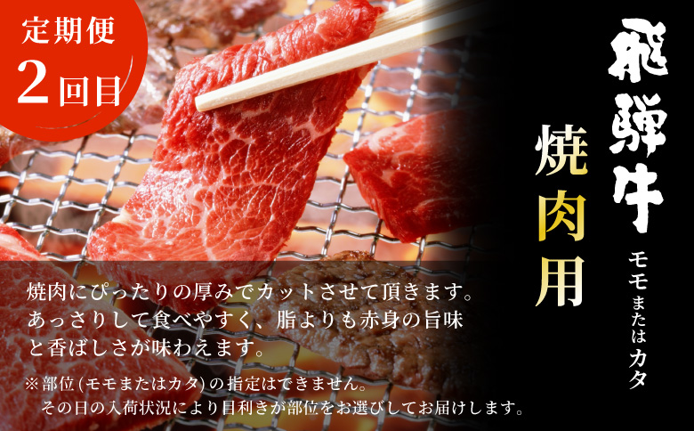 飛騨牛 赤身プレミアム定期便 全3回 すき焼き しゃぶしゃぶ ステーキ 焼肉 BBQ モモ カタ ヒレ 贅沢 贈り物 3ヶ月 定期 おすすめ 人気 飛騨 牛 肉 和牛 黒毛和牛 ブランド牛 養老ミート