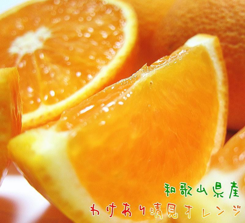 
            有田育ちの 完熟 清見 オレンジ（ご家庭用）約7.5kg［先行予約］［MS34］
          