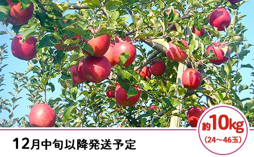 
            J0527長野市産サンふじ（家庭用）10kg【2025年12月中旬以降発送予定】（矢島農園）
          