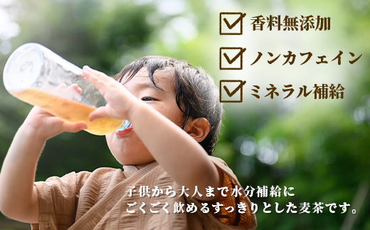 佐賀の麦茶 500ml×24本 3回 定期便 無添加 ･ 無香料 香ばしい 《佐賀県産大麦焙煎 》 自然派 ビタミンC 香料カフェインゼロ 飲み物 飲料 大麦 国産 佐賀県産 水分補給 お茶 茶 焙煎