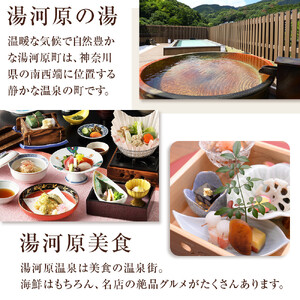 湯河原温泉ふるさと納税「宿泊ギフト券」 120,000円分 | 湯河原町 贅沢 リフレッシュ 旅行 神奈川 自然