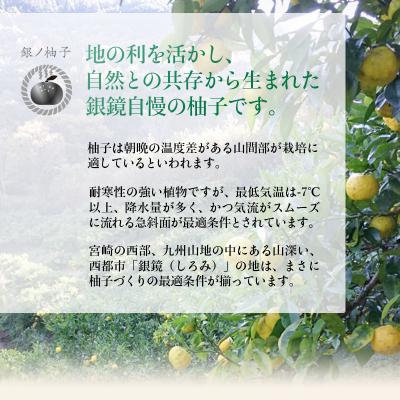 ふるさと納税 西都市 「銀の柚子」PREMIUM有機ゆず製品詰め合わせ【かぐらの里】[2740] |  | 03