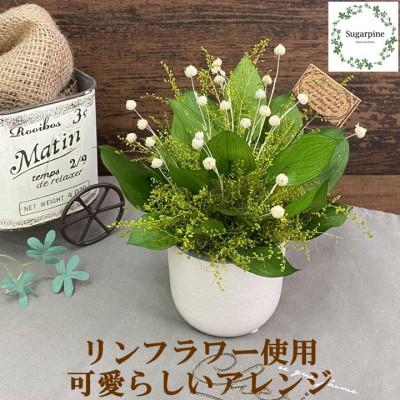 ふるさと納税 春日部市 シュガーパインのプリザーブドフラワーアレンジ【フイユ/ヴェール】春日部市