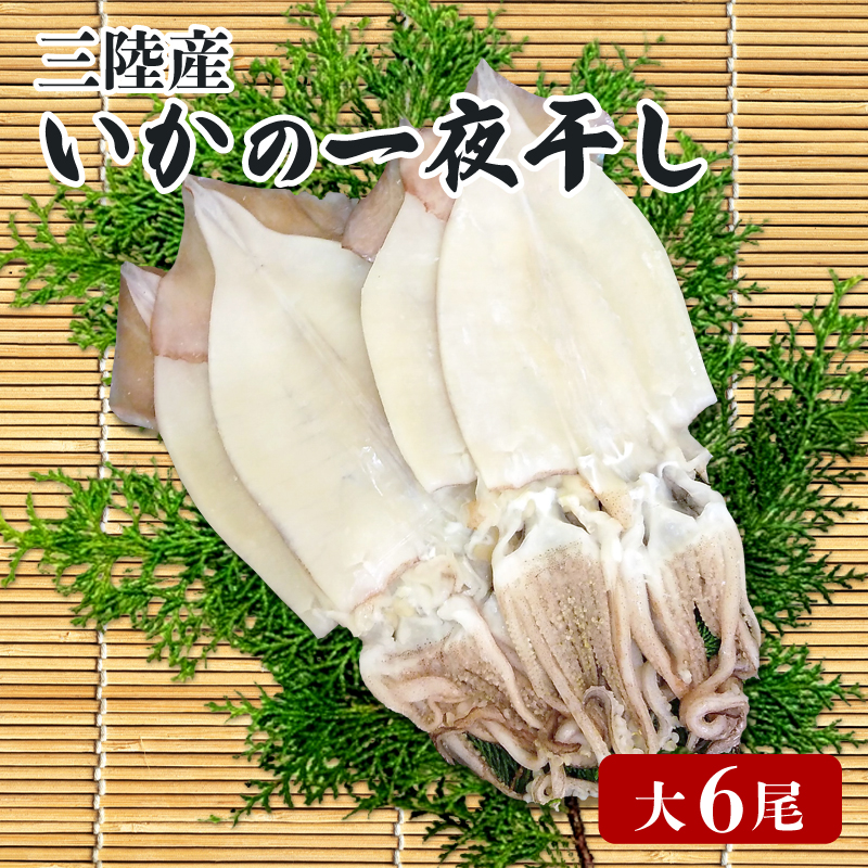 いかの一夜干し 大 6尾 イカ 烏賊 魚介類 三陸 冷凍 つまみ 釣り 丸干し 干物 おつまみ 父の日