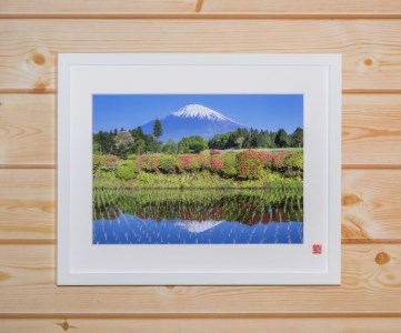 【春】富士山を知り尽くしたカメラマンが撮った、御殿場からの富士山フォト