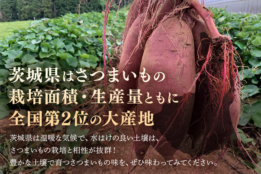 さつまいも すずほっくり 約5kg 無選別(L～Sサイズ) 茨城県産 ホクホク 食感 焼き芋 天ぷら 大学芋 しっとり 舌触り 自然の甘み スイーツ 野菜 サツマイモ 茨城県 潮来市 (A52-004