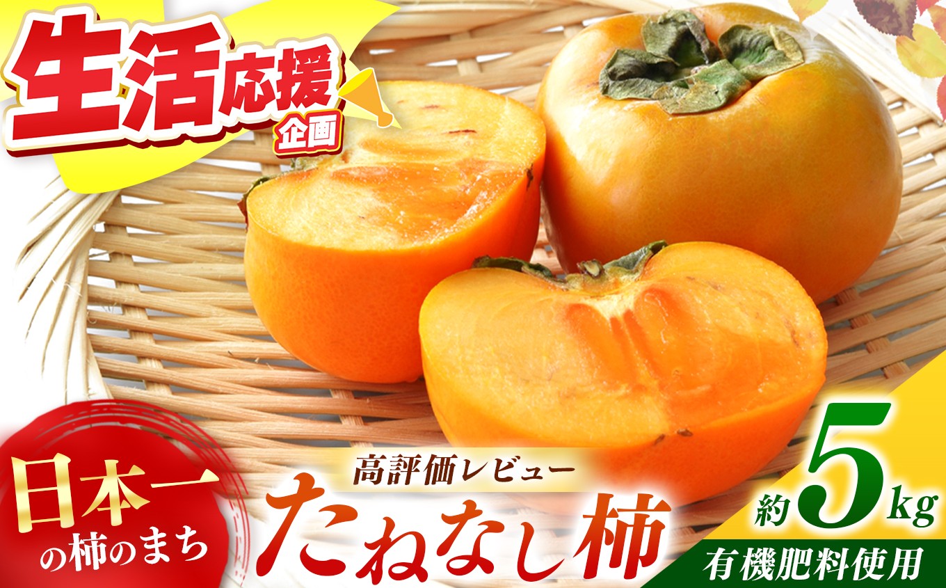 
            たねなし柿 約5kg  | フルーツ くだもの 果物 柿 かき カキ 奈良県 五條市 家庭用 自宅用 どっさり たっぷり 種なし 種無し 種なし柿 産地直送 国産 人気 送料無料 甘い グルメ お取り寄せ 大容量 ビタミン 食物繊維 豊富 美容 健康 10月 11月 順次発送 秋 旬 味覚 食べやすい 梨子本農園 やわらかい まろやか 高評価 人気 エコファーマー認定 有機肥料
          