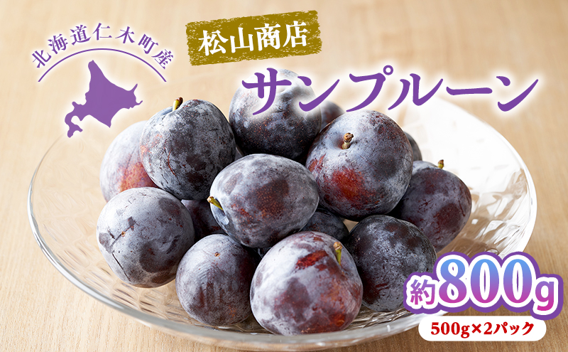 [先行受付] 北海道仁木町産 プルーン 800g ( サンプルーン ) 厳選品 果物 フルーツ 国産 高糖度 ほどよい酸味 北海道産プルーン 国産プルーン [松山商店]