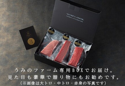 【高知県大月町産】うみのファーム お刺身用本まぐろ 中トロ 600ｇ