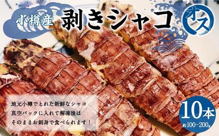 小樽産 剥き シャコ オス 10本 約100～200g 蝦蛄 刺し身