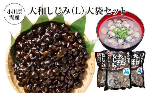 
            小川原湖産　大和しじみ(L)大袋セット　1kg×3パック/計3kg　【02408-0129】
          