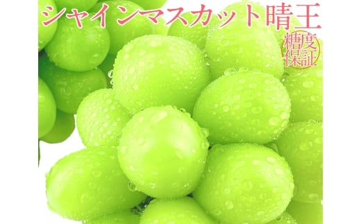 シャインマスカット 晴王 2房 約1.4kg 4回 定期便  7月・8月・9月・10月に1回ずつお届け【2026年7月下旬発送開始】 【シャインマスカット マスカット ぶどう 葡萄 岡山県産   種無し 皮ごと食べる みずみずしい フレッシュ 温室栽培 晴れの国おかやま 果物大国 彩美菜果 岡山県 倉敷市 おすすめ 人気 】