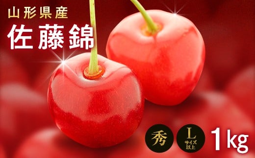 FYN9-256 《2026年先行予約》山形県産 さくらんぼ 佐藤錦 1kg(500g×2) 秀 L以上 バラパック詰め 2026年6月上旬から順次発送 果実 果物くだもの フルーツ 桜桃 サクランボ 化粧箱 贈り物 ギフト 贈答用 家庭用 自宅用 産地直送 山形県 西川町 月山