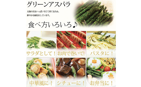 【2027年春発送】極太 グリーンアスパラ 2Lサイズ 1kg (スイートベジタブルファクトリー)