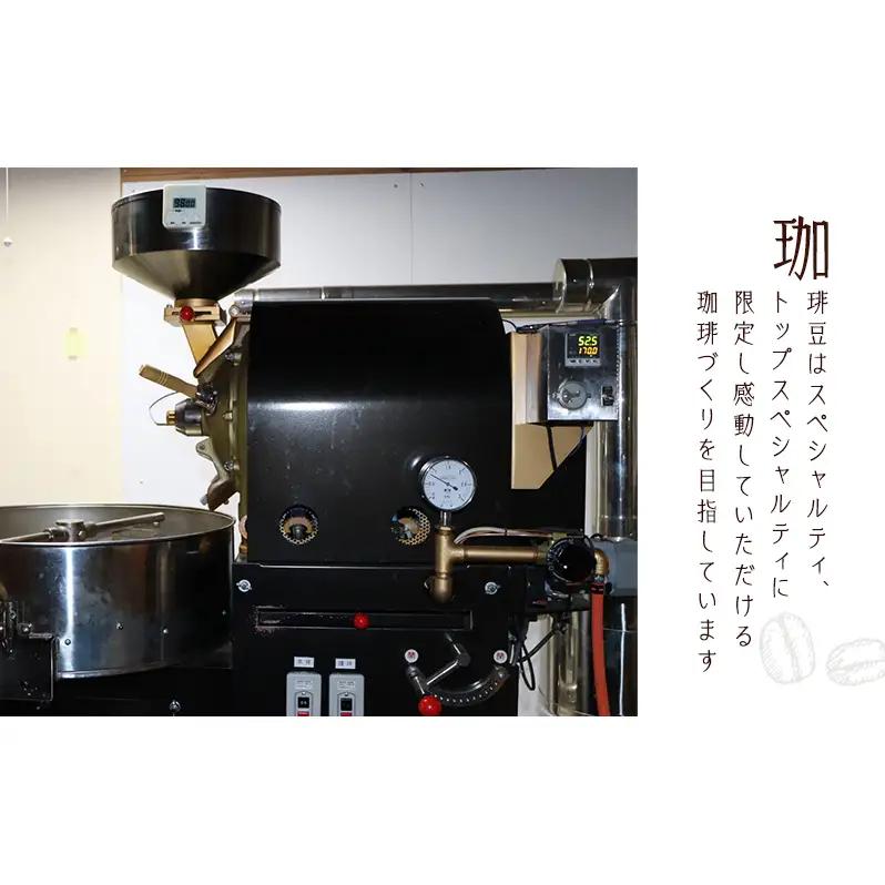 【定期便3か月】フルーティ珈琲2種（モカ・ホンジュラス）  ペーパードリップ用粉 コーヒー粉 珈琲粉 コーヒー 静岡 浜松市