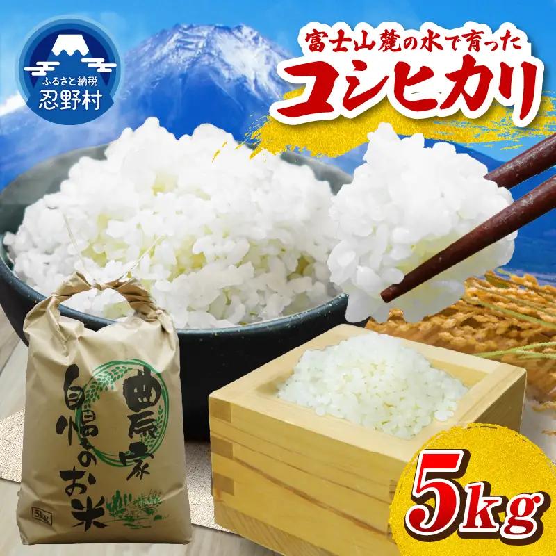 【令和8年度産米】【新米先行予約】【数量限定】忍野村産コシヒカリ（5kg）