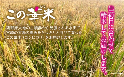3ケ月定期便 令和7年産 新米こしひかり 『この華米』10kg×3 合計30kg＜9-12＞精米 白米 コシヒカリ 