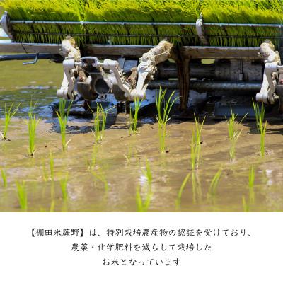 ふるさと納税 唐津市 【令和7年産】特別栽培米「棚田米蕨野」15kg(5kg×3袋) |  | 02