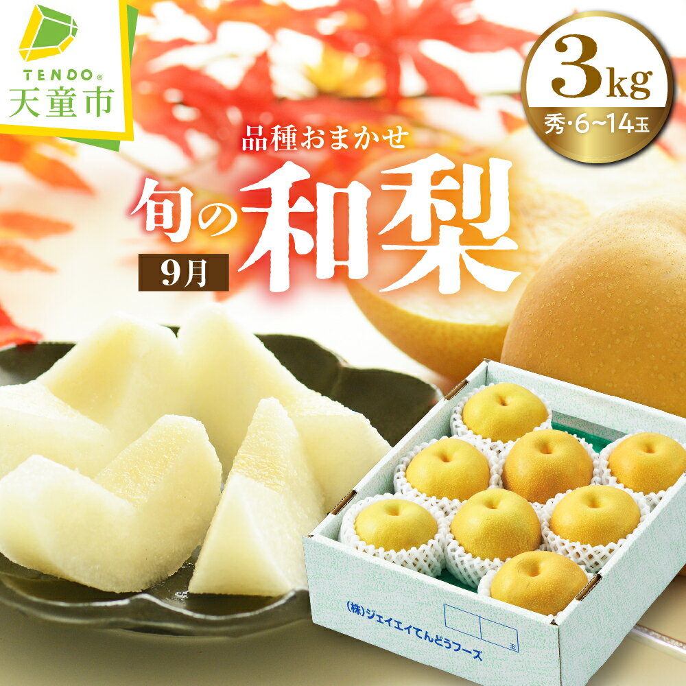 【ふるさと納税】9月 旬 の 和梨 ( 品種 おまかせ ) 3kg 令和8年産 先行予約 2026年 梨 ナシ なし 果物 くだもの フルーツ 山形 お取り寄せ 産地直送 送料無料【 山形県 天童市 】