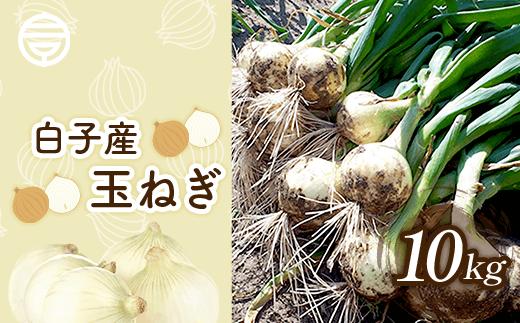 【令和8年5月中旬発送・数量限定】白子産玉ねぎ 10kg ふるさと納税  たまねぎ 玉ねぎ 白子玉ねぎ スライス サラダ 健康 味噌汁 数量限定 野菜 千葉県 白子町 送料無料 SHR004