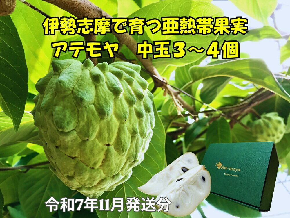 【ふるさと納税】 【予約注文/2025年11月より発送】 アテモヤ 中玉3～4個 約1.2kg 果物 くだもの フルーツ 期間限定 季節限定 森の アイスクリーム デザート ギフト プレゼント 贈り物 贈答 贈答用 三重県 伊勢 志摩 南伊勢町