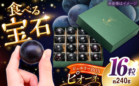 【先行予約：2026年8月下旬より発送】【数量限定】贈り物におすすめ！ピオーネ・ジュエリーBOX 16粒(約240g) 島根県雲南市/ギアファーム[AIAB020]
