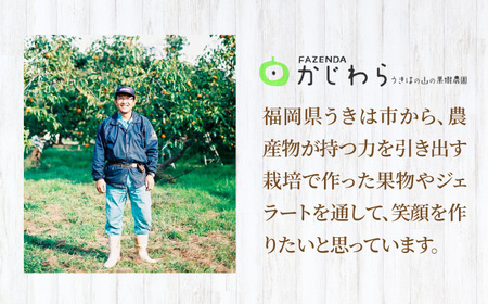 【果樹園が作る】素材の味を楽しめる 旬のジェラート 120ml×12個セット【ソルベッチdoうきは】着色料不使用 ノンホモ牛乳使用 ジェラート アイス 旬 スイーツ 詰め合わせ セット シャーベット 