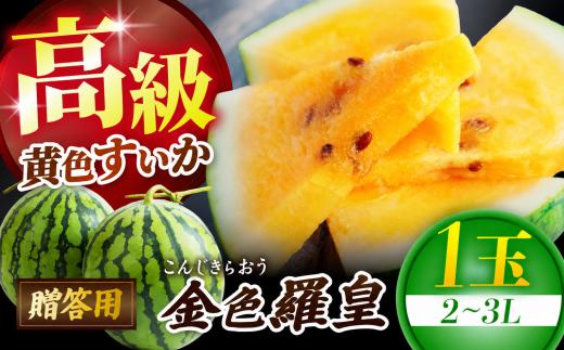 信州松本平産 贈答用 高級黄色すいか【金色羅皇(こんじきらおう)２～３L １個】～黄金色に輝く、夏の宝玉。信州の清流と太陽が育てた奇跡の一玉～ │ すいか スイカ 野菜 夏 金色羅皇 果物 新鮮 贈答用 長野県 信州 松本 ふるさと納税