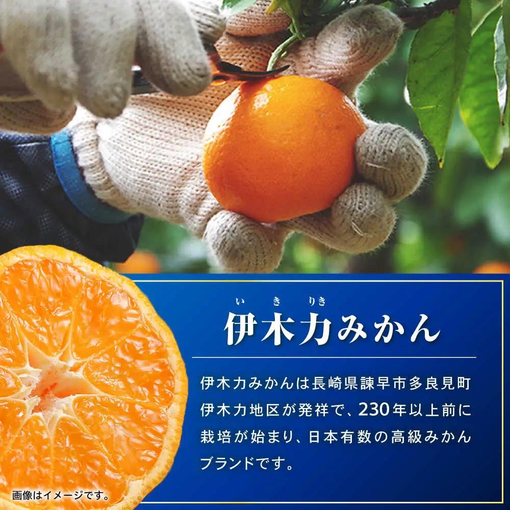 冷凍みかん 1.6kg(400g×4袋)  冷凍 伊木力みかん AHCF006