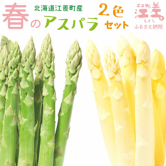 【ふるさと納税】《早期予約・数量限定　4月～5月初旬出荷予定》2026年 北海道江差町産 「春」のアスパラ2色食べくらべセット 計1kg　ホワイトアスパラ 500g ＆ グリーンアスパラ 500g　L～2Lサイズ　朝採り　アスパラガス　農家直送　新鮮　みずみずしい　旬の味覚　甘い
