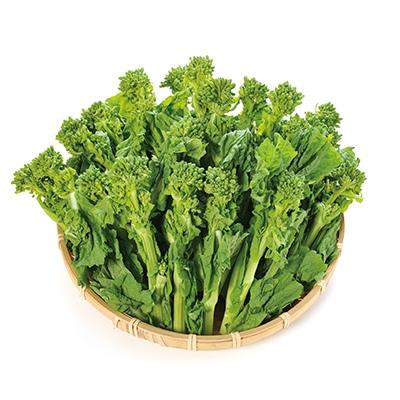 ふるさと納税 高松市 【先行受付2026年】旬の野菜　菜の花バラ　約1kg