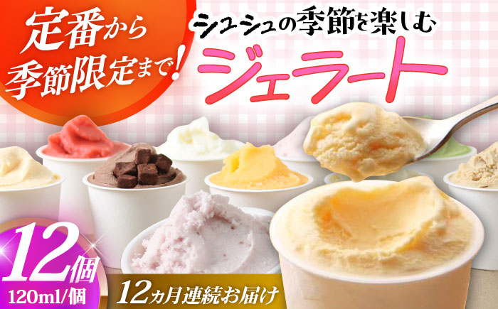 
            【12回定期便】シュシュ 季節のジェラート12個セット  / アイス アイスクリーム ジェラート スイーツ / 大村市 / おおむら夢ファームシュシュ [ACAA430]
          