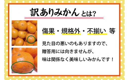 【訳あり】農家直送 有田みかん 約10kg ご家庭用 サイズ混合 ※2024年11月中旬から2025年1月中旬までに順次発送予定（お届け日指定不可）※北海道・沖縄・離島への配送不可 訳ありみかん 温州