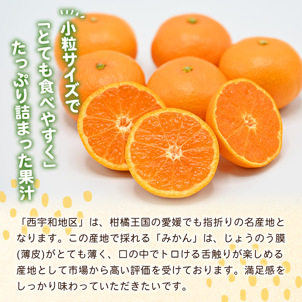 ＜愛媛県西予市産 温州みかん 小粒サイズ 家庭用 約3.2kg＞ 愛媛県産 西宇和 小玉 小さめ 果物 フルーツ 柑橘 うんしゅうみかん ウンシュウミカン オレンジ ミカン 蜜柑 訳あり 小林果園 愛