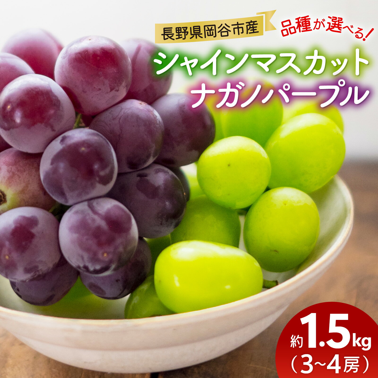 【ふるさと納税】◆楽天限定◆【先行予約】【選べる品種】【岡谷市産】シャインマスカット 約1.5kg 3～4房 or ナガノパープル 約1.5kg 3～4房【9月下旬以降順次発送】｜果物 くだもの フルーツ 葡萄 ぶどう ブドウ ナガノ パープル シャイン マスカット 長野県 限定