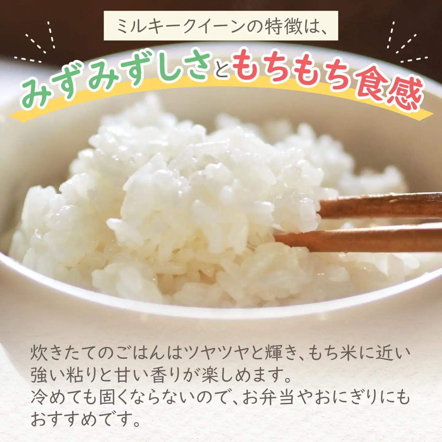 【先行予約】【令和8年産 新米】【3ヶ月定期便】ミルキークイーン 白米 13.5kg（4.5kg × 3回）｜ピロール農法