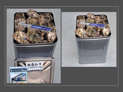 石川県七尾産 能登かき 殻付き 1斗缶（80～100個） 加熱調理用 | 牡蠣 ※2027年1月～発送