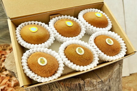 キウイ 掛川産カラフルキウイ2種6個セット 11月～3月の期間限定 キウイフルーツカントリーJapan 5880