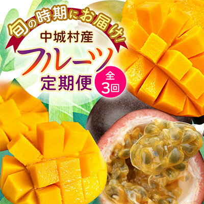 【ふるさと納税】【発送月固定定期便】2026年発送 JAおきなわが厳選する南国フルーツ定期便全3回【配送不可地域：離島】【4077025】