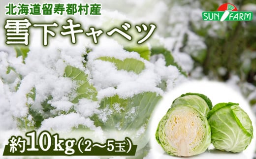 雪下キャベツ 約10kg 2～5玉 きゃべつ 越冬 オンライン 申請 ふるさと納税 北海道 留寿都 野菜 旬野菜 季節野菜 甘い みずみずしい 産地直送 新鮮 採れたて サラダ ポトフ 野菜炒め 汁物 カレー 約10キロ 留寿都村【24010】